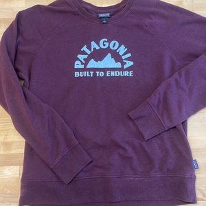 Great Condition Patagonia Sweatshirt